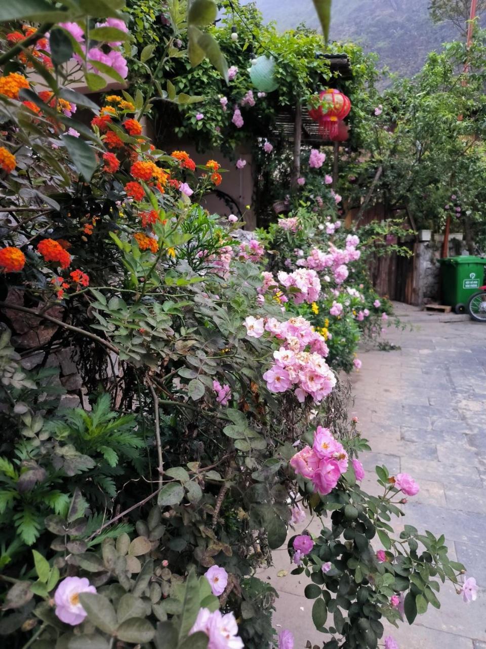 Xua Vu Homestay Meo Vac Экстерьер фото